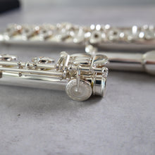 Load image into Gallery viewer, Muramatsu DS RBEO