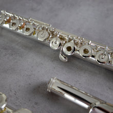 Load image into Gallery viewer, Muramatsu DS RBEO