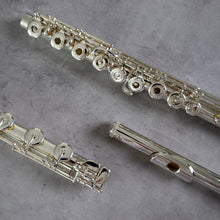 Load image into Gallery viewer, Muramatsu DS RBEO