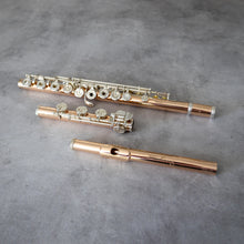 Load image into Gallery viewer, Burkart Elite 9K/Ag ST RBEOC#