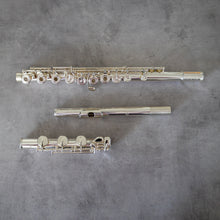 Load image into Gallery viewer, Di Zhao 801