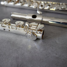 Load image into Gallery viewer, Di Zhao 801