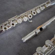 Load image into Gallery viewer, Di Zhao 801