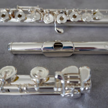 Load image into Gallery viewer, Di Zhao 801