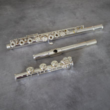 Load image into Gallery viewer, Di Zhao 801