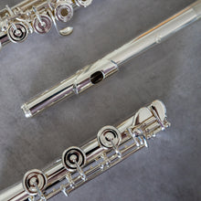 Load image into Gallery viewer, Di Zhao 801