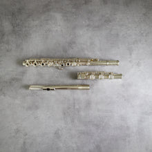 Load image into Gallery viewer, Haynes Custom Handmade ST RBEO