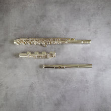 Load image into Gallery viewer, Altus A10