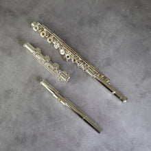 Load image into Gallery viewer, Altus A10