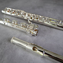 Load image into Gallery viewer, Altus A10