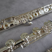 Load image into Gallery viewer, Altus A10