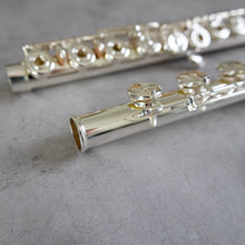 Load image into Gallery viewer, Altus A10