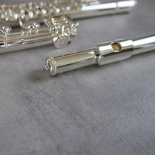 Load image into Gallery viewer, Altus A10