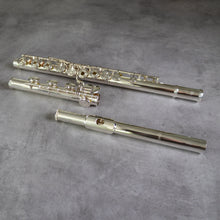 Load image into Gallery viewer, Altus A10