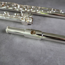 Load image into Gallery viewer, Altus A10