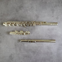 Lataa kuva Galleria-katseluun, Käytetty Pearl RCEI #95372