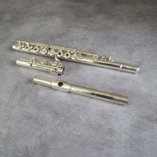 Lataa kuva Galleria-katseluun, Käytetty Pearl RCEI #95372