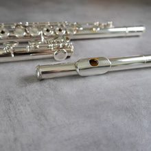 Lataa kuva Galleria-katseluun, Käytetty Pearl RCEI #95372