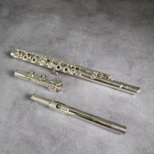 Lataa kuva Galleria-katseluun, Käytetty Pearl RCEI #95372