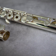 Lataa kuva Galleria-katseluun, Käytetty Pearl RCEI #95372