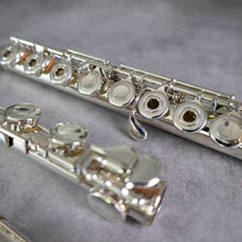 Lataa kuva Galleria-katseluun, Käytetty Pearl RCEI #95372