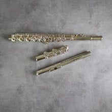 Load image into Gallery viewer, Muramatsu EX III RCEO