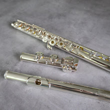 Load image into Gallery viewer, Muramatsu EX III RCEO