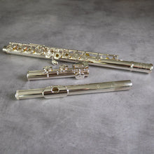 Load image into Gallery viewer, Muramatsu EX III RCEO