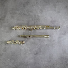 Load image into Gallery viewer, Haynes Amadeus 780SE RCEO