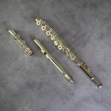 Load image into Gallery viewer, Haynes Amadeus 780SE RCEO