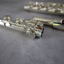 Load image into Gallery viewer, Haynes Amadeus 780SE RCEO