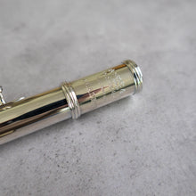 Load image into Gallery viewer, Haynes Amadeus 780SE RCEO