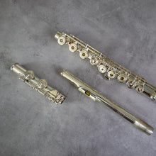 Load image into Gallery viewer, Haynes Amadeus 780SE RCEO