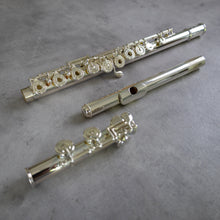 Load image into Gallery viewer, Haynes Amadeus 780SE RCEO