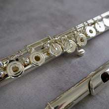 Load image into Gallery viewer, Haynes Amadeus 780SE RCEO