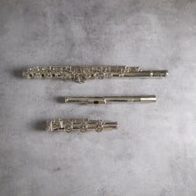 Load image into Gallery viewer, Burkart Resona 300 RBEO