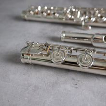 Load image into Gallery viewer, Burkart Resona 300 RBEO