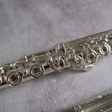 Load image into Gallery viewer, Burkart Resona 300 RBEO