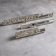 Load image into Gallery viewer, Burkart Resona 300 RBEO