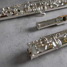 Load image into Gallery viewer, Burkart Resona 300 RBEO