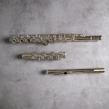 Load image into Gallery viewer, Haynes Amadeus 780SE RBEO