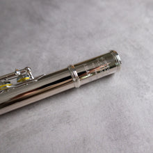 Load image into Gallery viewer, Haynes Amadeus 780SE RBEO