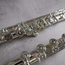 Load image into Gallery viewer, Haynes Amadeus 780SE RBEO