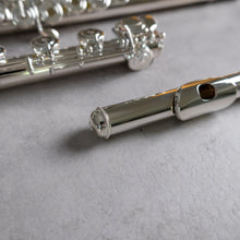 Load image into Gallery viewer, Haynes Amadeus 780SE RBEO