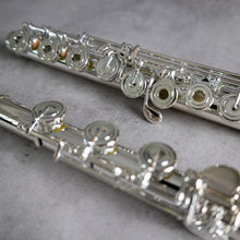 Load image into Gallery viewer, Haynes Amadeus 780SE RBEO