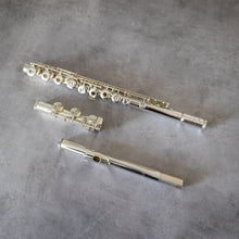 Lataa kuva Galleria-katseluun, Käytetty Muramatsu AD RCEO #54214