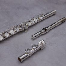 Lataa kuva Galleria-katseluun, Haynes 485SE CCEO