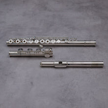 Lataa kuva Galleria-katseluun, Haynes Q Galway RBIC#