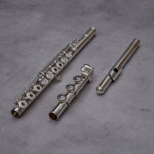 Lataa kuva Galleria-katseluun, Haynes Q Galway RBIC#