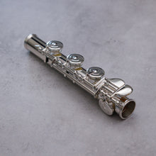 Lataa kuva Galleria-katseluun, Haynes Q Galway RBIC#